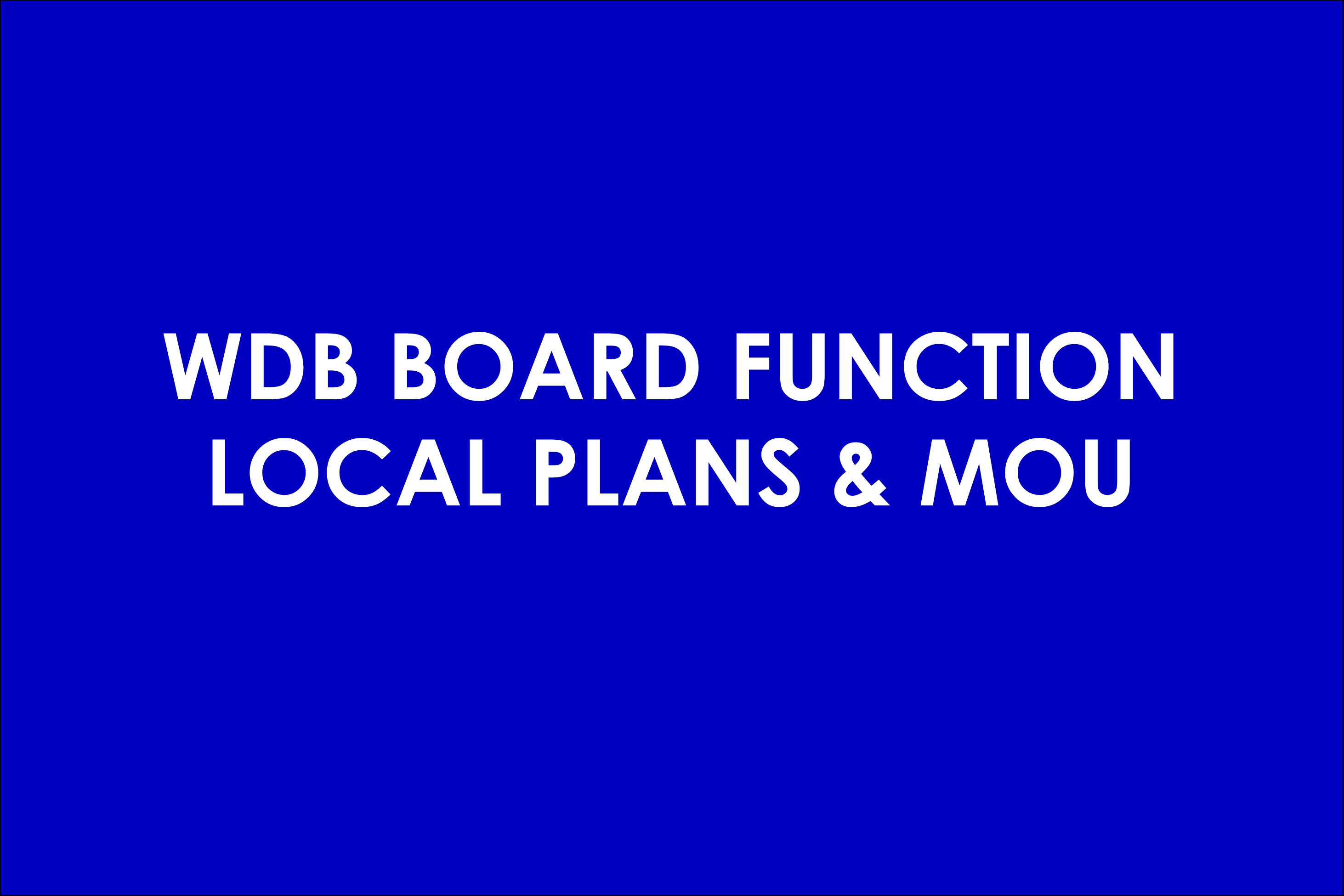 WDB local plan